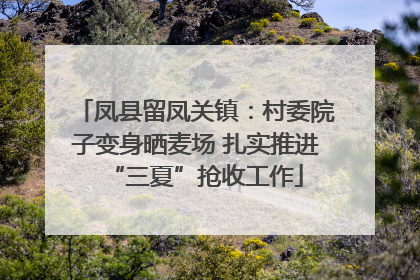 凤县留凤关镇：村委院子变身晒麦场 扎实推进“三夏”抢收工作