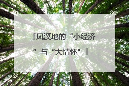 凤溪地的“小经济”与“大情怀”