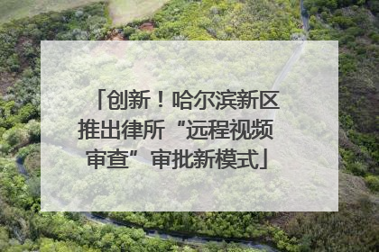 创新！哈尔滨新区推出律所“远程视频审查”审批新模式