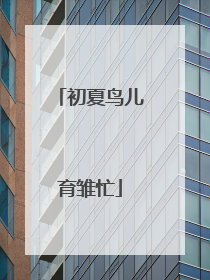 初夏鸟儿育雏忙