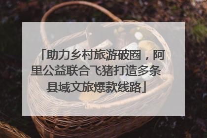 助力乡村旅游破圈，阿里公益联合飞猪打造多条县域文旅爆款线路