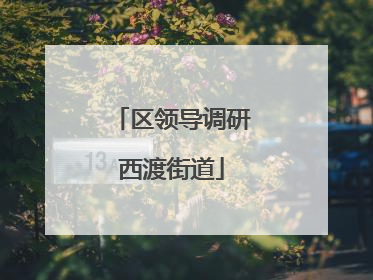 区领导调研西渡街道