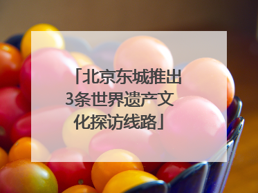 北京东城推出3条世界遗产文化探访线路