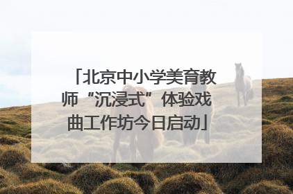 北京中小学美育教师“沉浸式”体验戏曲工作坊今日启动