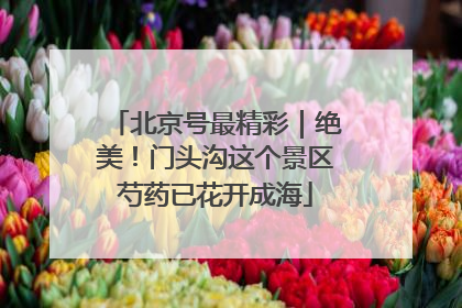 北京号最精彩｜绝美！门头沟这个景区芍药已花开成海