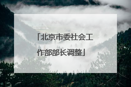 北京市委社会工作部部长调整
