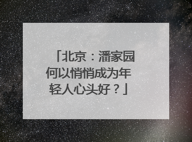 北京：潘家园何以悄悄成为年轻人心头好？