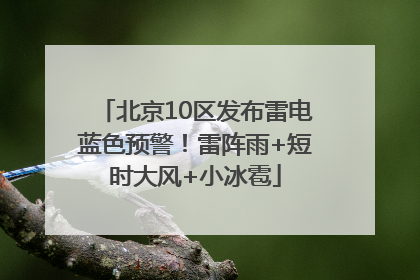 北京10区发布雷电蓝色预警！雷阵雨+短时大风+小冰雹