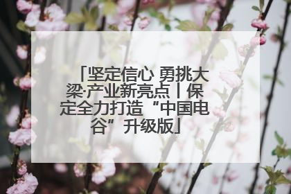 坚定信心 勇挑大梁·产业新亮点丨保定全力打造“中国电谷”升级版