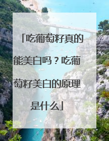 吃葡萄籽真的能美白吗？吃葡萄籽美白的原理是什么