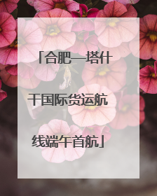 合肥—塔什干国际货运航线端午首航