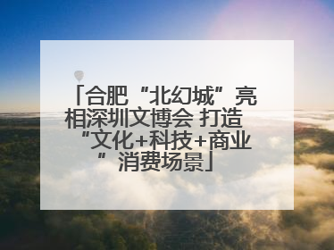 合肥“北幻城”亮相深圳文博会 打造“文化+科技+商业”消费场景