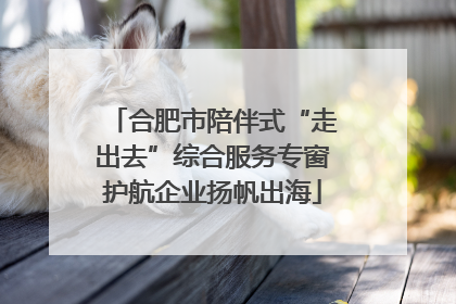 合肥市陪伴式“走出去”综合服务专窗护航企业扬帆出海