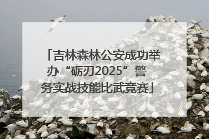 吉林森林公安成功举办“砺刃2025”警务实战技能比武竞赛