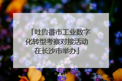 吐鲁番市工业数字化转型考察对接活动在长沙市举办