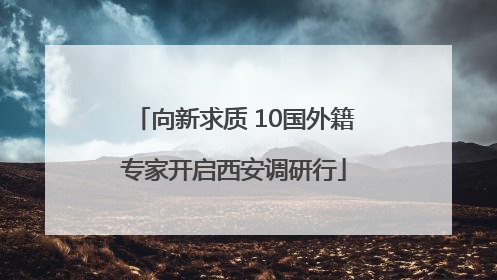 向新求质 10国外籍专家开启西安调研行