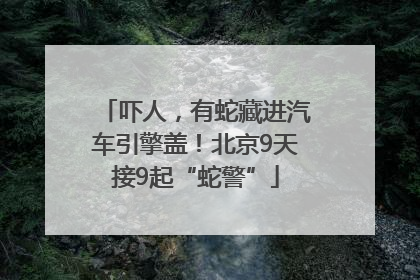 吓人，有蛇藏进汽车引擎盖！北京9天接9起“蛇警”