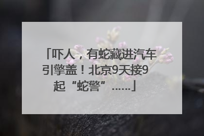吓人，有蛇藏进汽车引擎盖！北京9天接9起“蛇警”……