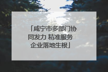 咸宁市多部门协同发力 精准服务企业落地生根