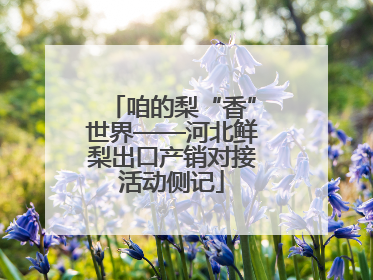 咱的梨“香”世界——河北鲜梨出口产销对接活动侧记
