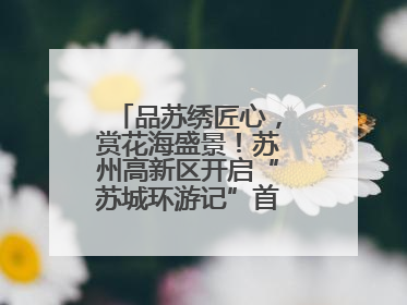 品苏绣匠心，赏花海盛景！苏州高新区开启“苏城环游记”首条非遗主题游