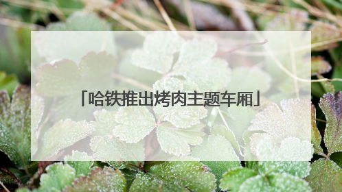 哈铁推出烤肉主题车厢