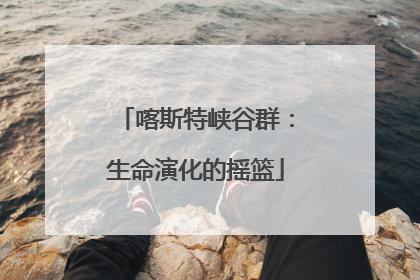 喀斯特峡谷群：生命演化的摇篮
