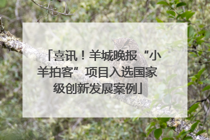 喜讯！羊城晚报“小羊拍客”项目入选国家级创新发展案例