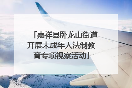 嘉祥县卧龙山街道开展未成年人法制教育专项视察活动