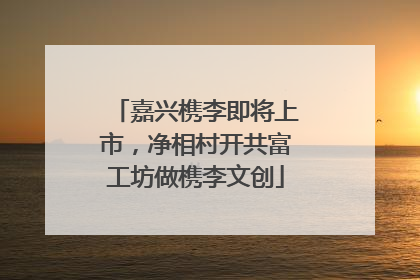嘉兴槜李即将上市，净相村开共富工坊做槜李文创