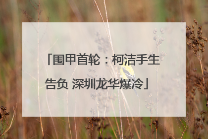 围甲首轮：柯洁手生告负 深圳龙华爆冷