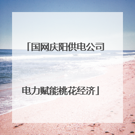 国网庆阳供电公司电力赋能桃花经济