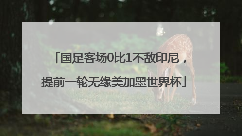 国足客场0比1不敌印尼，提前一轮无缘美加墨世界杯