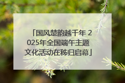 国风楚韵越千年 2025年全国端午主题文化活动在秭归启幕