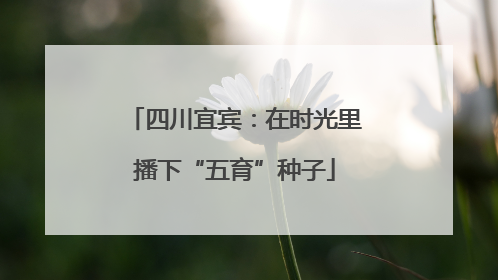 四川宜宾：在时光里播下“五育”种子