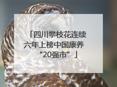 四川攀枝花连续六年上榜中国康养“20强市”