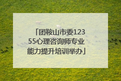 团鞍山市委12355心理咨询师专业能力提升培训举办
