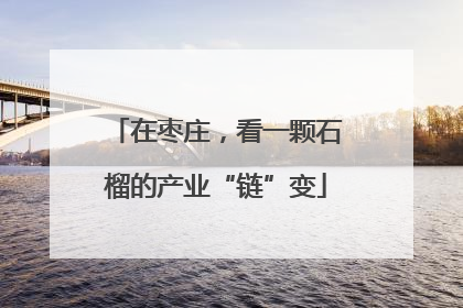 在枣庄，看一颗石榴的产业“链”变