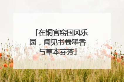 在铜官窑国风乐园，闻见书卷墨香与草本芬芳