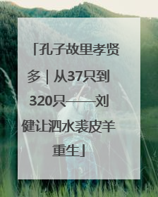 孔子故里孝贤多｜从37只到320只——刘健让泗水裘皮羊重生