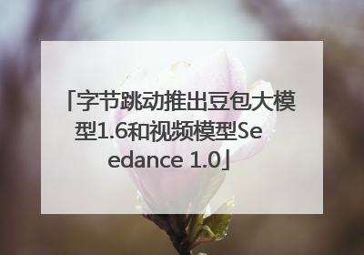 字节跳动推出豆包大模型1.6和视频模型Seedance 1.0