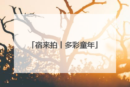 宿来拍丨多彩童年