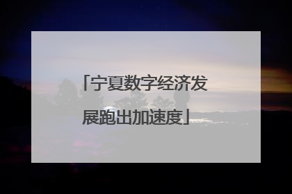 宁夏数字经济发展跑出加速度