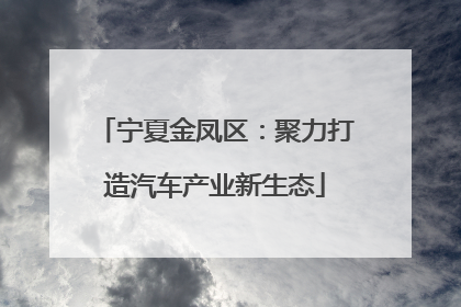宁夏金凤区：聚力打造汽车产业新生态