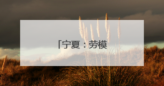 宁夏：劳模精神进校园