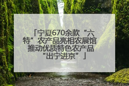 宁夏670余款“六特”农产品亮相农展馆 推动优质特色农产品“出宁进京”