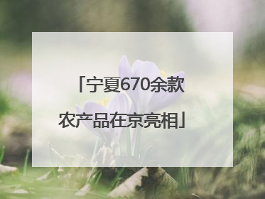 宁夏670余款农产品在京亮相