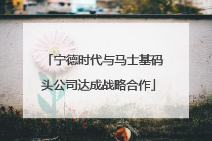 宁德时代与马士基码头公司达成战略合作
