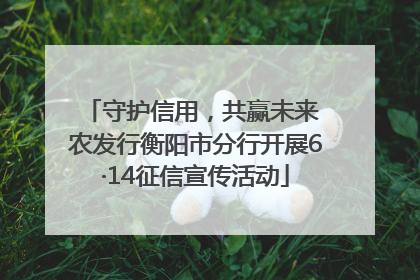 守护信用，共赢未来 农发行衡阳市分行开展6·14征信宣传活动
