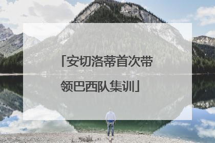 安切洛蒂首次带领巴西队集训
